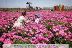 芍花节：古药都的文旅产业融合范本