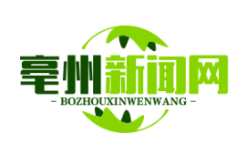 剪纸艺人起诉镇政府Logo侵权，法院判赔8万元创非遗维权先例